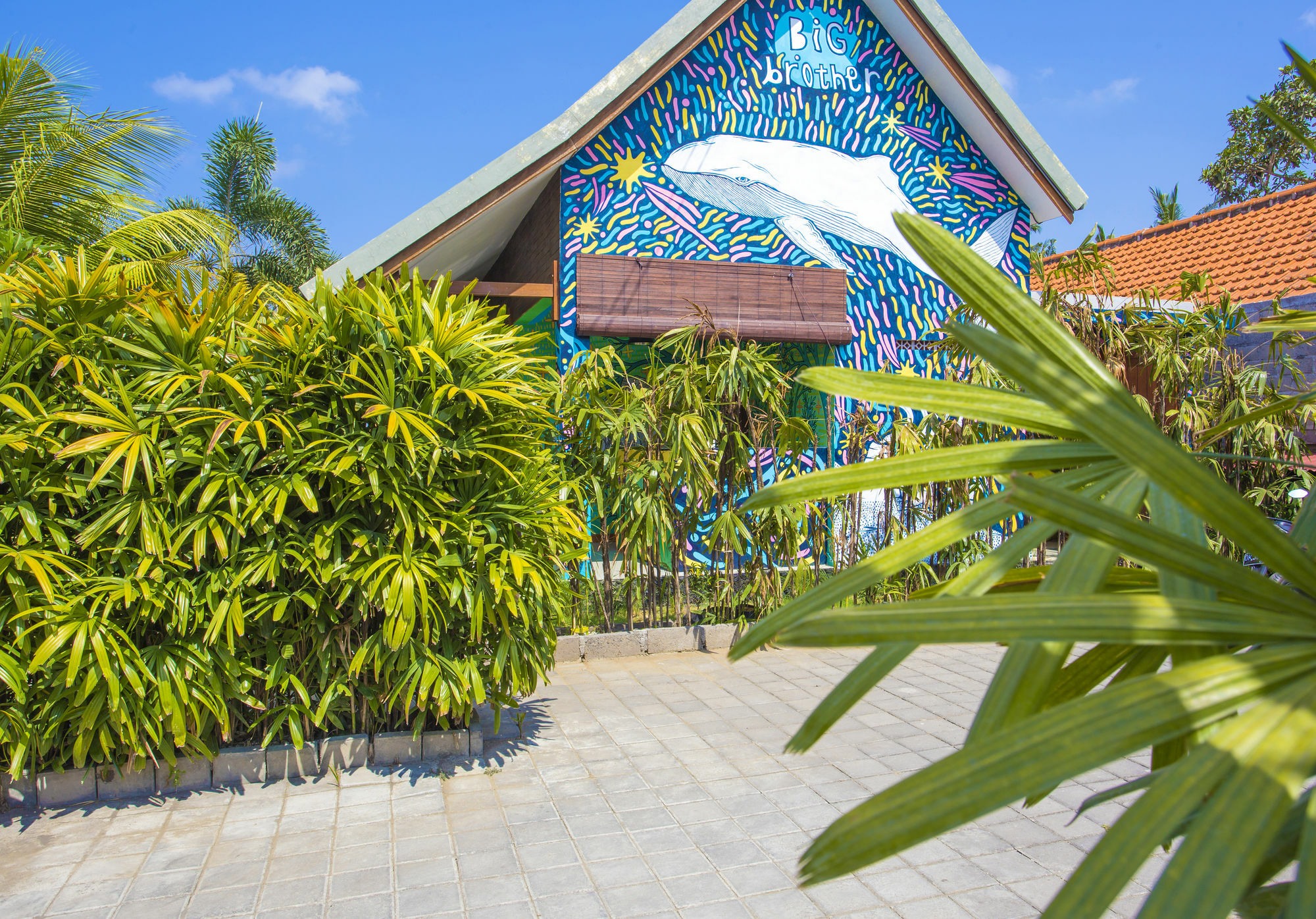 Big Brother Surf Inn تْشانغو المظهر الخارجي الصورة