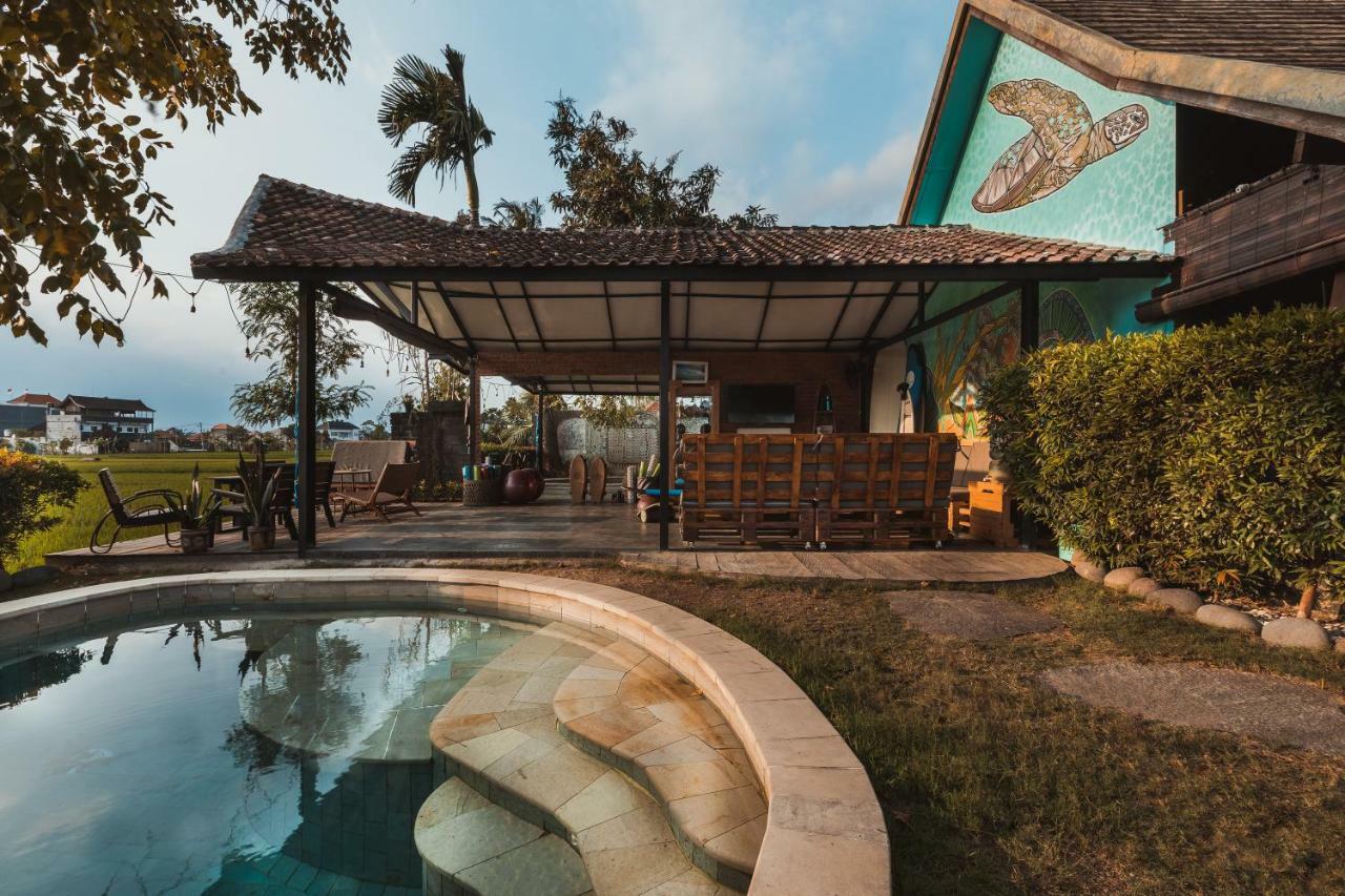 Big Brother Surf Inn تْشانغو المظهر الخارجي الصورة